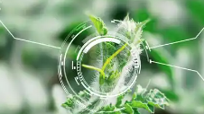 打通农业科技创新堵点